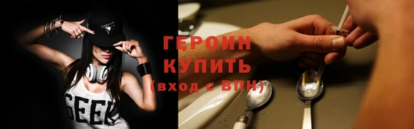 крисы Няндома