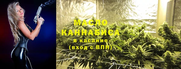 крисы Няндома