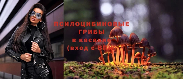 крисы Няндома